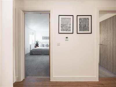 Picture 27